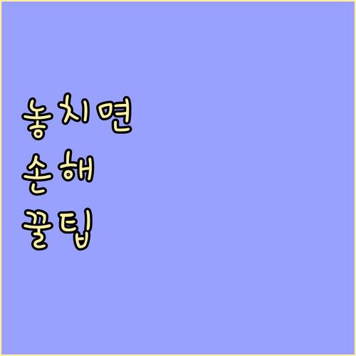 대전 신봉동 쓰레기 배출, 올바른 습관이 환경을 지킨다