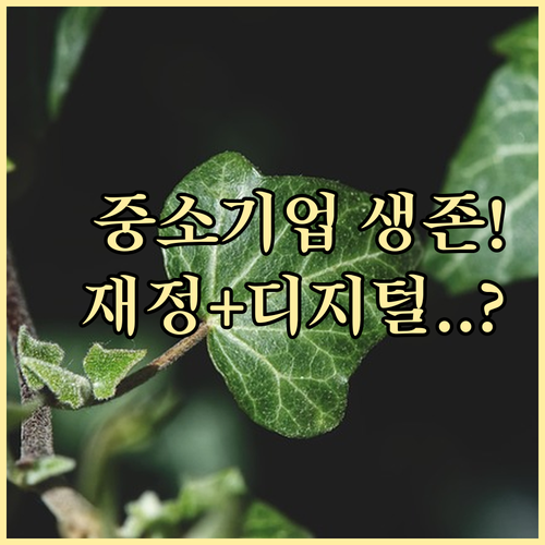중소기업 생존 필수 전략! 재정 안정화와 디지털 역량 강화 병행하기