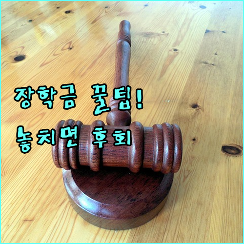 2025 진도군 장학금, 저소득·다자녀 학생 특별 지원 안내