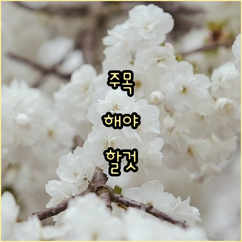 상생페이백 본인 확인, 왜 필수일까요?