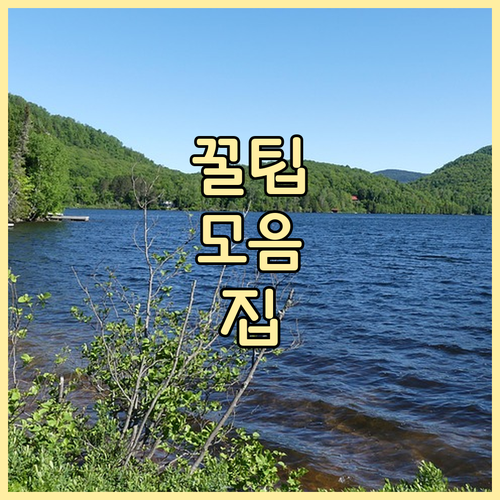 재산세 자동이체 왜 필수일까 할인과 편의 다 잡기