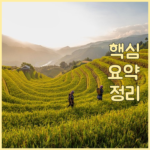 헷갈리는 용산동 쓰레기? 일반, 재활용, 대형 한 번에 해결