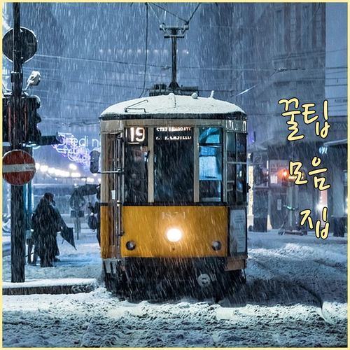 덕진동 주민 필수! 올바른 쓰레기 분리배출로 환경 보호