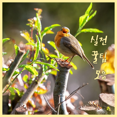 분양권 전매 성공 전략 핵심 세금과 규제 완벽 분석