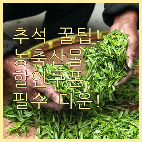 놓치면 안 될 추석 농축산물 할인 쿠폰 필수 다운로드 절차