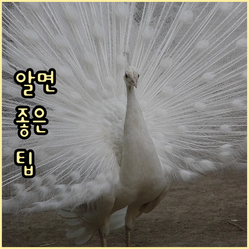 테이블 오더 상생페이백 인건비 절약의 시작