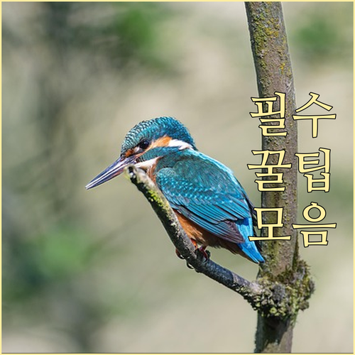 탑립동 주민 필수! 일반, 음식물, 재활용 쓰레기 배출 요일과 시간
