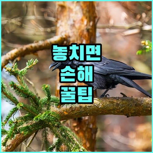 대구교육청 2025 찾아가는 한국어교육 자녀에게 선물하세요
