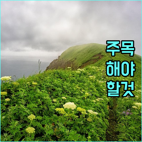 안심 출산 2025 구미시 기형아 검사 지원 놓치지 마세요