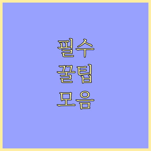 유성구 상대동 쓰레기 배출 궁금증 해결 일반부터 대형까지