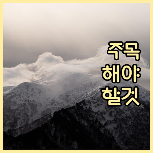 상생페이백 로그인 문제? 아이디 비밀번호 즉시 해결