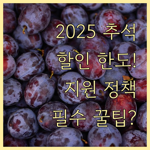 2025년 추석 농축산물 할인 주당 한도와 지원 정책