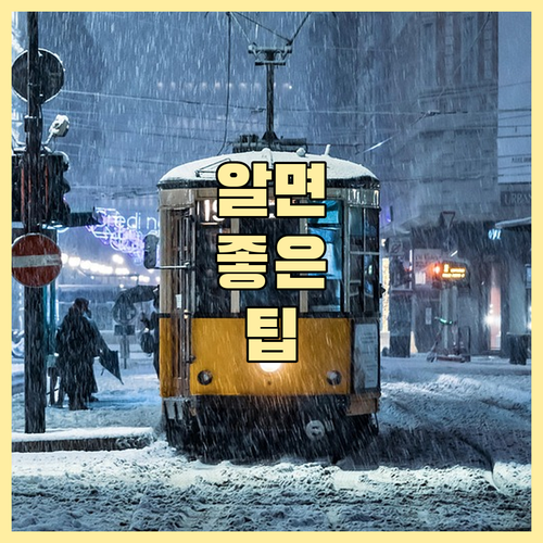 일반, 음식물, 재활용쓰레기 도룡동 배출 총정리
