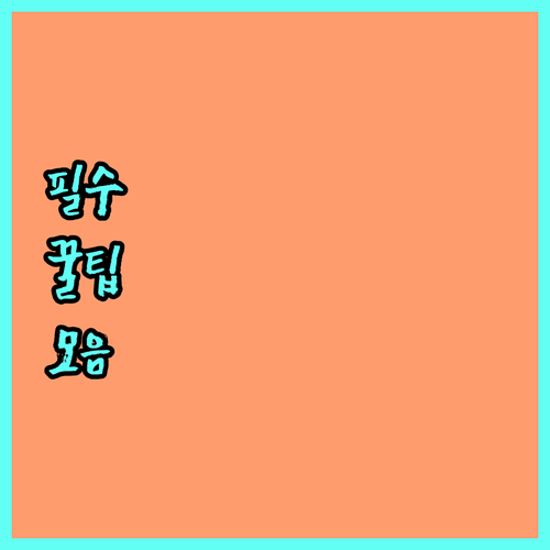 2025 보령시 임산부 출산용품 안전벨트 지원 대상