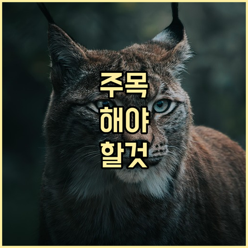미국 육로 입국 자격! ESTA와 I-94 상호 보완 관계 분석
