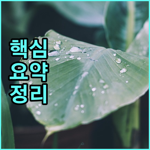 2025 김천시 산모아기 돌봄 혜택 30일 연장 놓치면 후회
