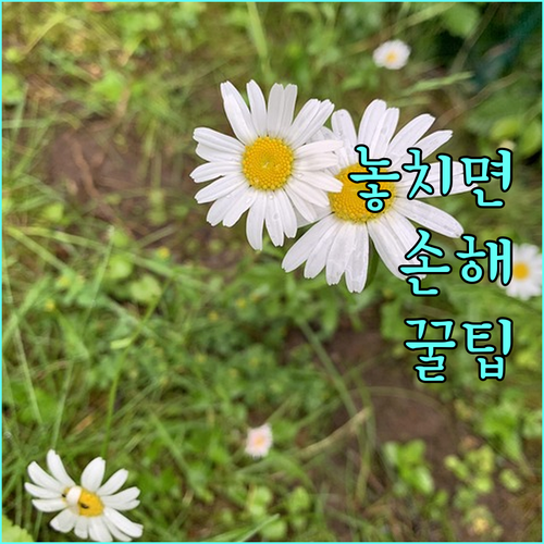2025 포천시 종량제 봉투 무료 취약계층 신청 없이 받는 법