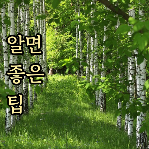 미국 ESTA 결제 실패 중복 걱정 없이 해결하는 법