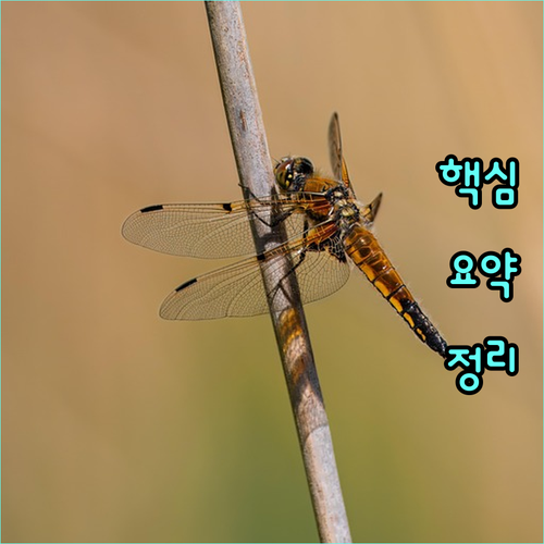 2025 당진발전본부 첨단 전력 기술과 문화 복합 체험
