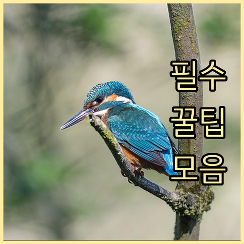 신차 할부 구입 필수! 취득세 계산법과 이자 진실