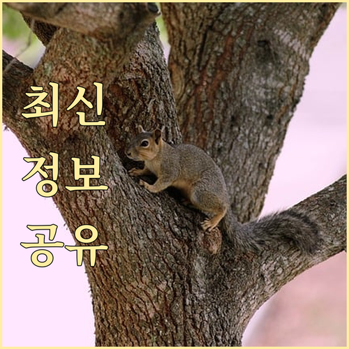 석봉동 쓰레기 버리는 법: 무상 수거 품목도 확인!