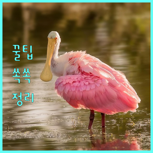 2025 울산 긴급돌봄 비용 발생? 본인부담금 기준 총정리