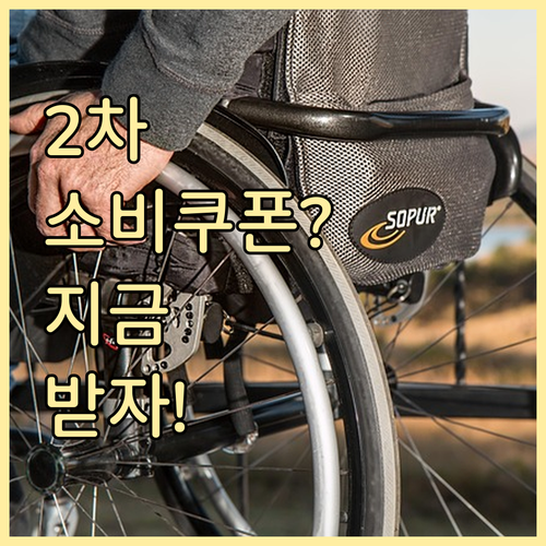 민생회복 소비쿠폰 2차 신청 오류, 현재 유효한 정부 지원 정책은?