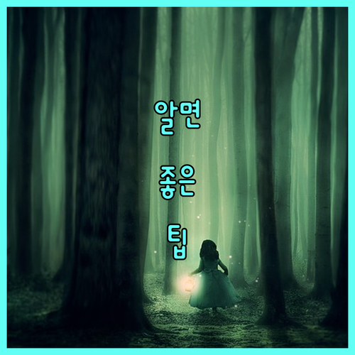 2025 대구 공공 체육시설 이용요금 감면 모든 것