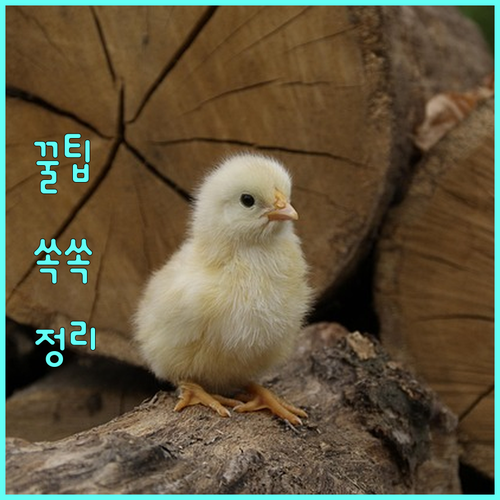 수원시 친환경농업 소모성자재 2025년 지원 사업 핵심 총정리