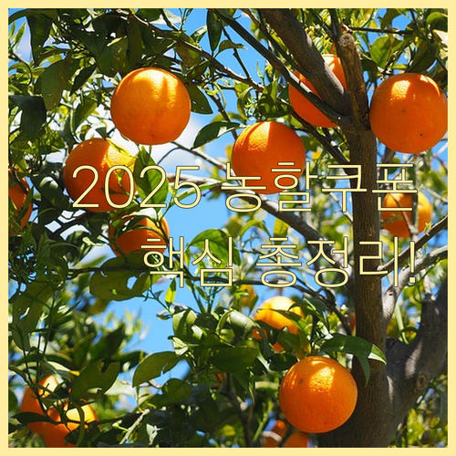 2025 농할쿠폰 온라인 발급 및 사용 방법 총정리