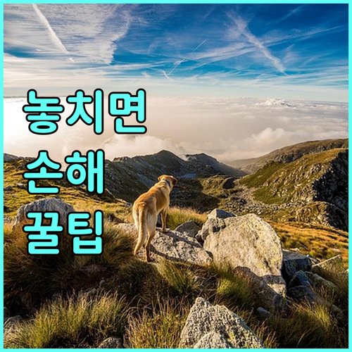 2025 부산 강서구장학금 모든 정보 신청부터 수령까지