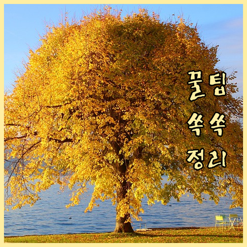 원촌동 쓰레기 배출 궁금증 해결! FAQ와 핵심 정보