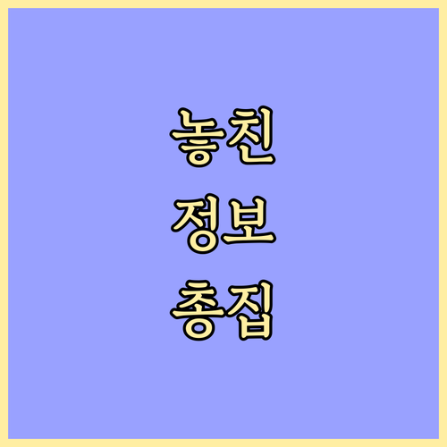 가정동 주민이라면 꼭 알아야 할 쓰레기 배출 규정
