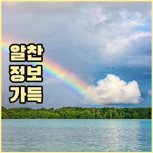 대형폐기물 신고 어렵다고? 신탄진동 간편 배출 절차