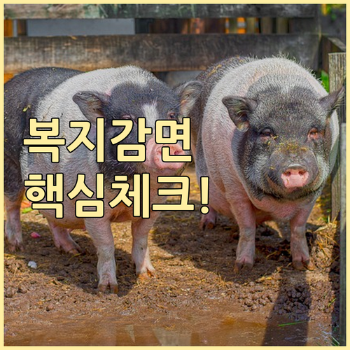 복지감면 대상 확인 및 신청 시 유의사항