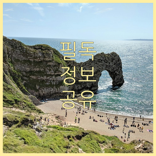 대형폐기물 무단투기 과태료? 복용동 신고 절차 확인!