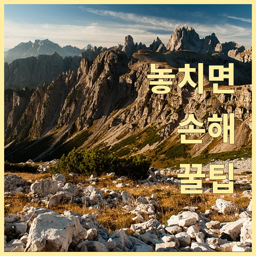 삼정동 깨끗한 우리 동네, 올바른 쓰레기 배출부터 시작!