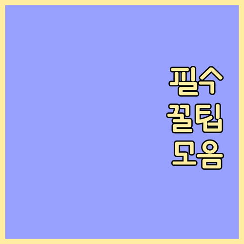 미국 ESTA 40달러 인상 미리 신청하면 돈 아낄 수 있을까?