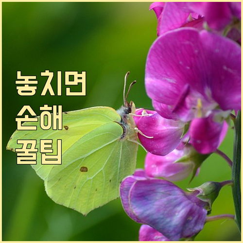 해외 거주자 국내 자산 양도세: 과세 범위와 납부 의무