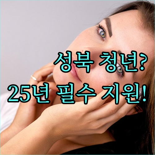 성북구 청년 2025년 행정체험단, 당신도 지원할 수 있을까?
