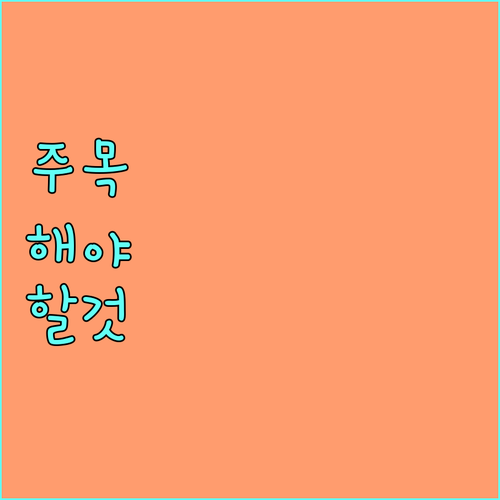 2025 광주시 치매 돌봄 조호물품 지원 대상과 신청 총정리