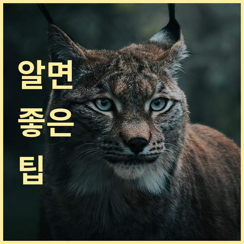 연축동 쓰레기 배출 핵심! 일반 음식물 재활용 대형 폐기물
