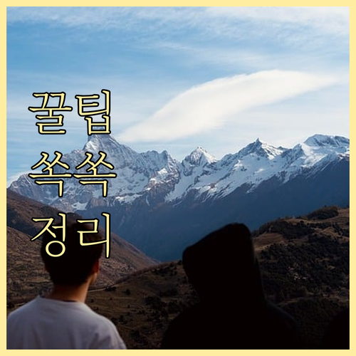 코로나19와 함께한 서울 상생페이백 성공 사례 분석