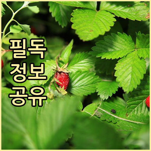 육아휴직 연장부터 급여 100%까지 꼭 알아야 할 모든 것