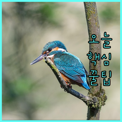 2025년 사천시 산모 신생아 지원금 지금 바로 신청하세요
