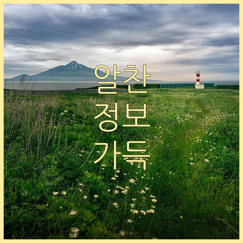 신대동 쓰레기 배출, 과태료 피하는 완벽 정리