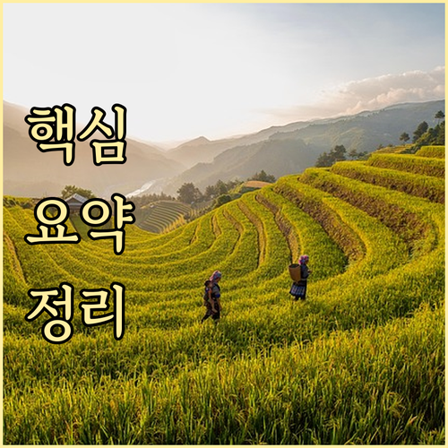 지족동 쓰레기 요일별 배출 완벽 마스터 방법