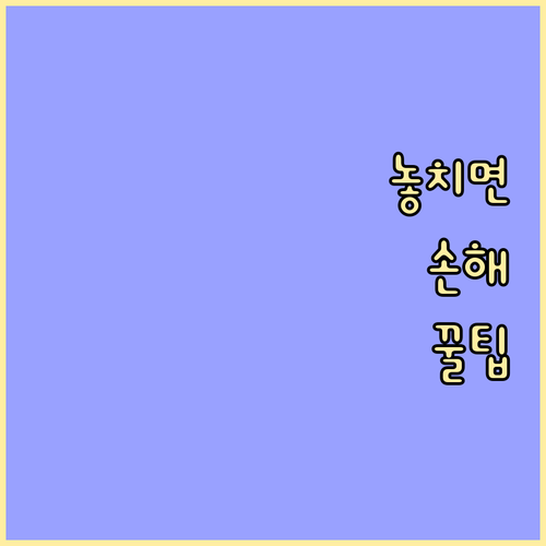 과태료 NO! 신동 쓰레기 배출 시간과 요일 총정리