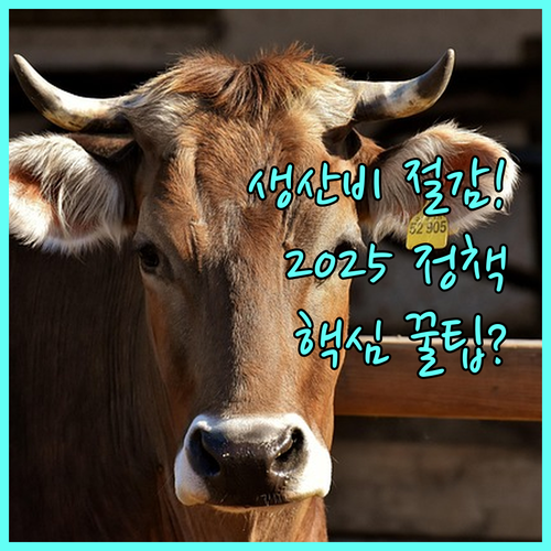 2025 식량작물 생산비 절감 지원 정책 총정리
