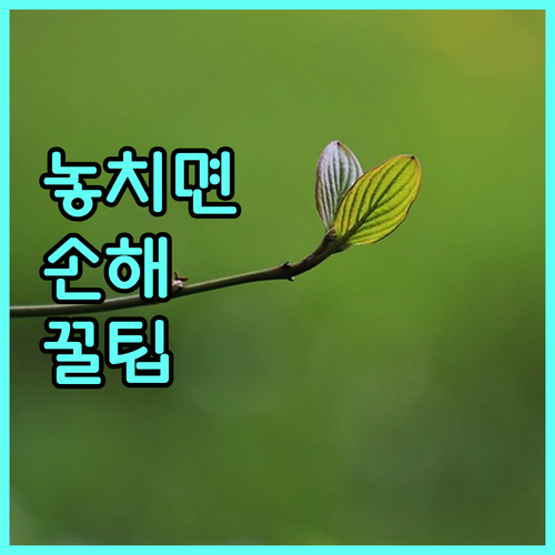 2025 자산형성지원 사업 신청 자격 서류 지원금 안내